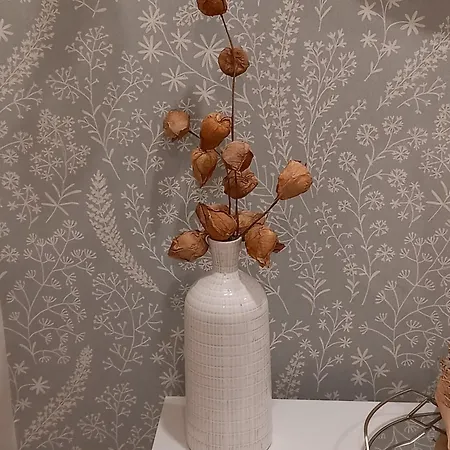 En Centro Del Pais Vasco Ermua