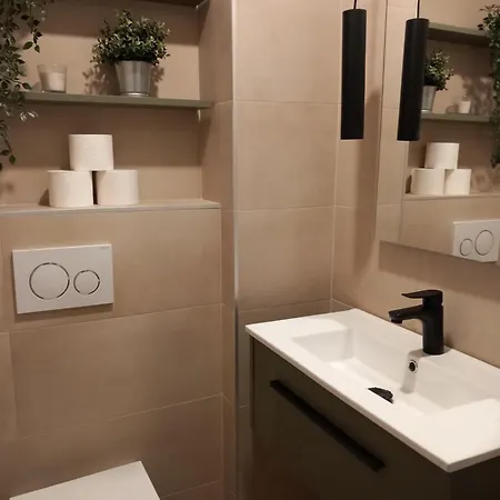 Piso Reformado En El Centro Del Pais Vasco *