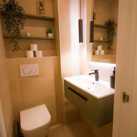 Piso Reformado En El Centro Del Pais Vasco